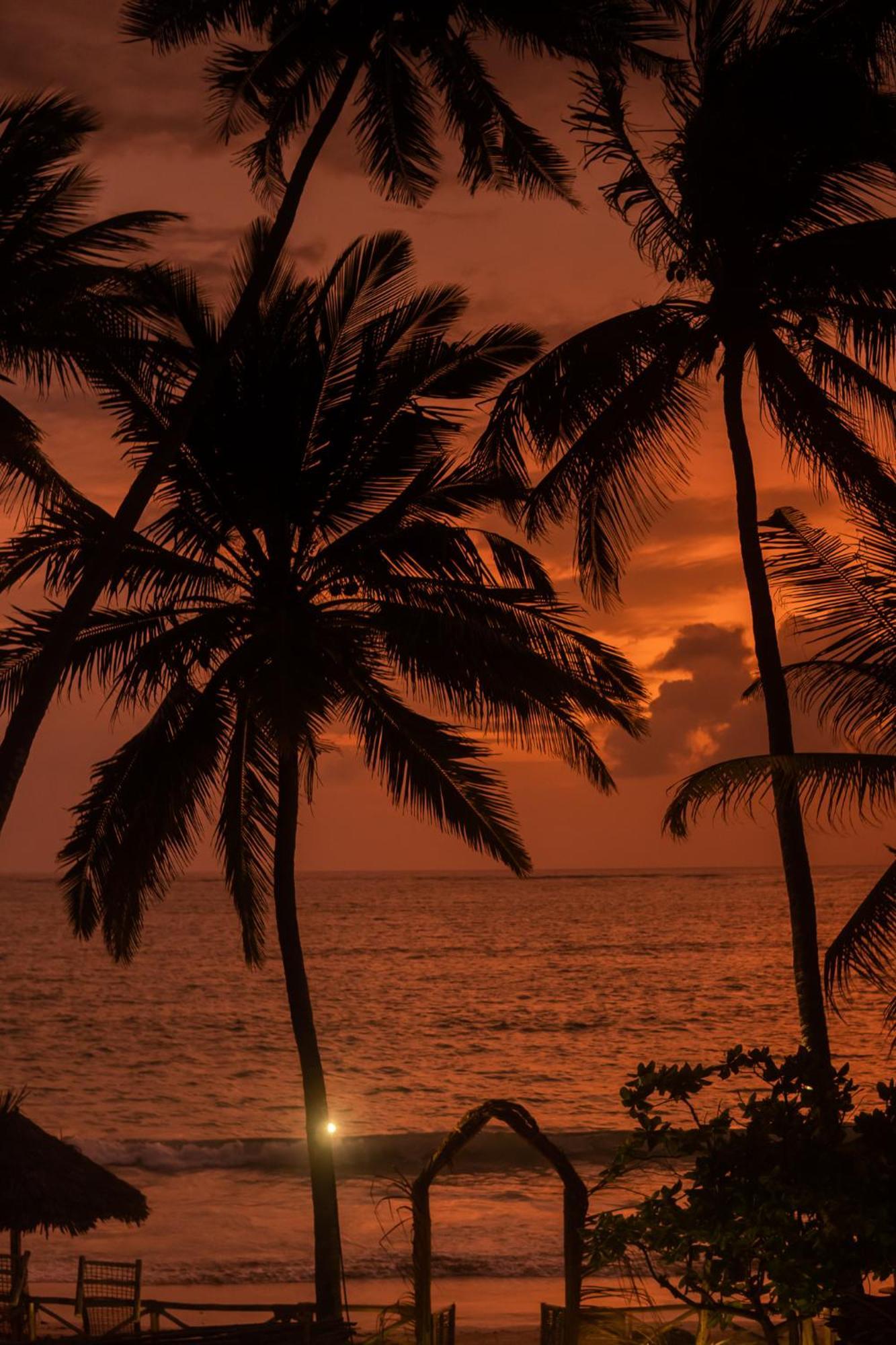 Kima Serviced Beach House & Suites Bwejuu Bagian luar foto