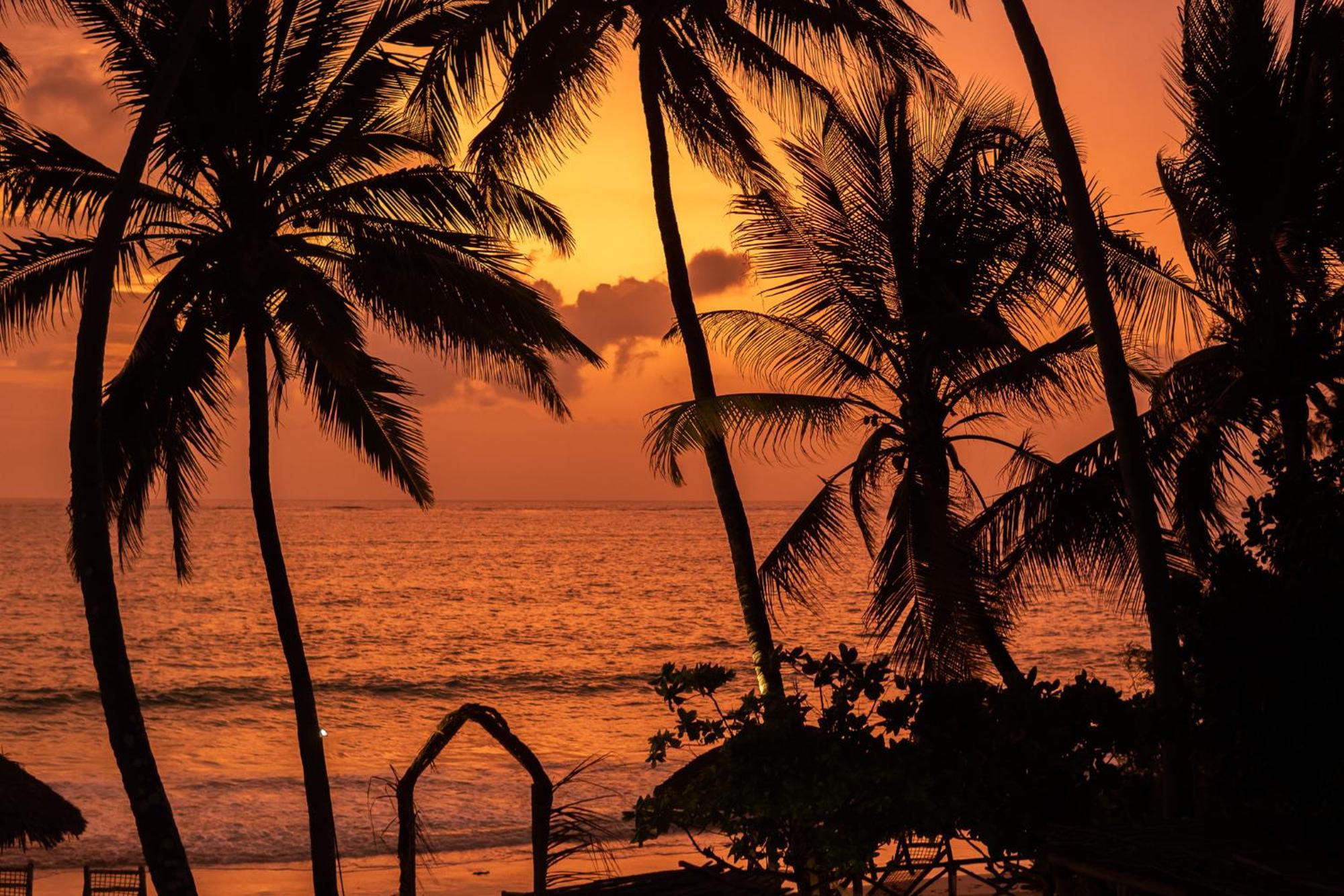 Kima Serviced Beach House & Suites Bwejuu Bagian luar foto