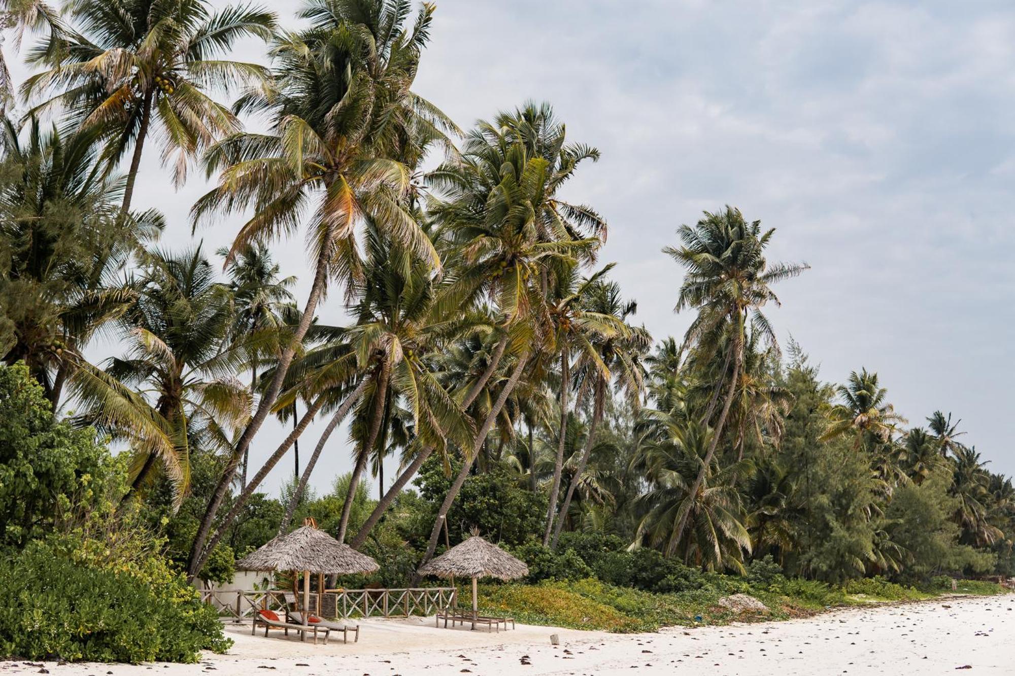 Kima Serviced Beach House & Suites Bwejuu Bagian luar foto